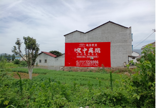 龙州做墙体广告的意义