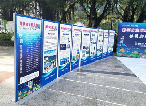 龙州KT板的种类和知识。